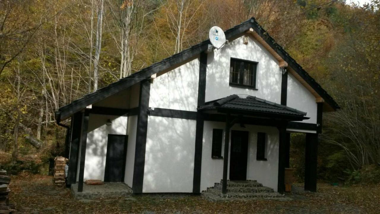 Cabana Crenguta Сібіу Екстер'єр фото