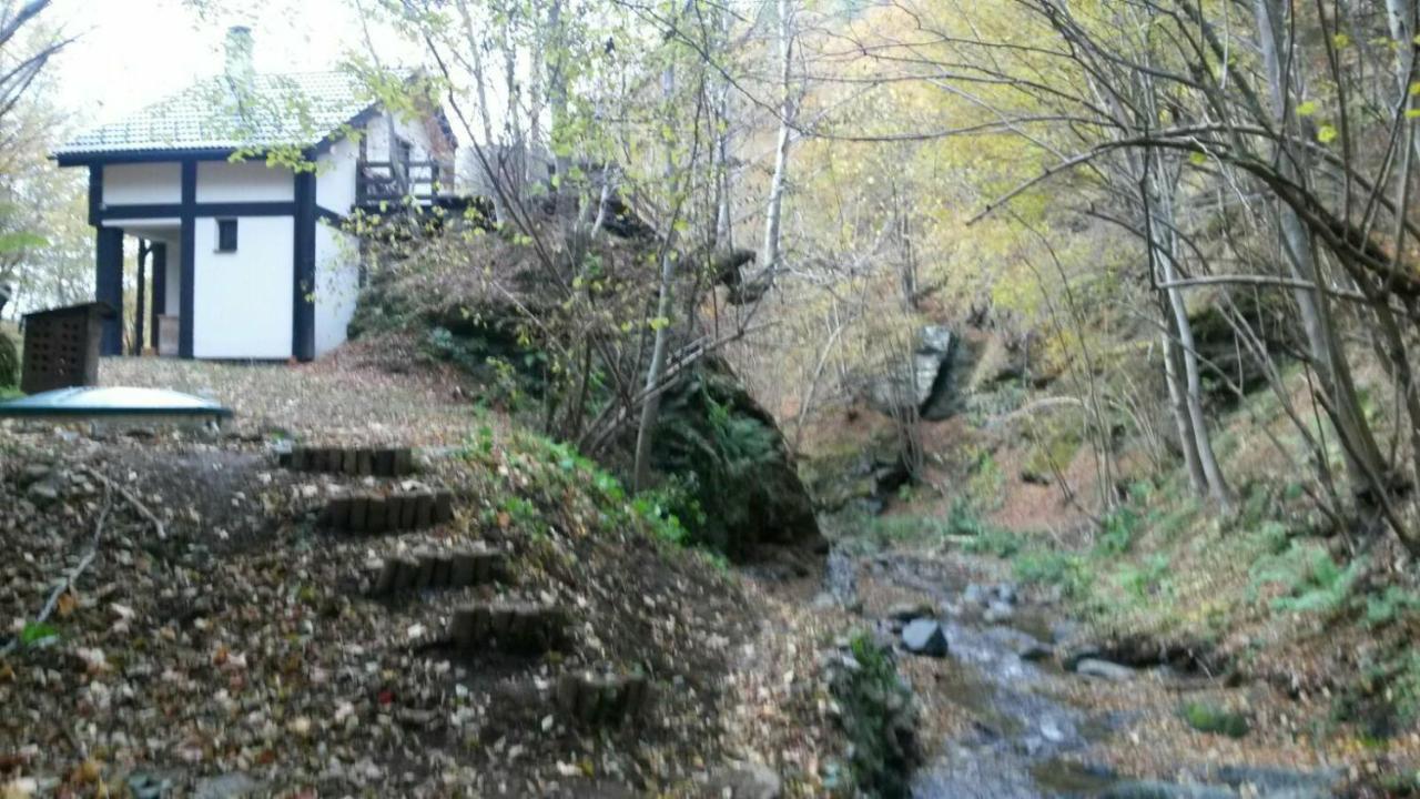 Cabana Crenguta Сібіу Екстер'єр фото